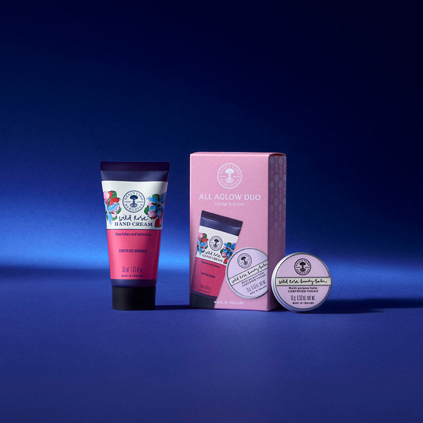 ALL AGLOW WILD ROSE DUO