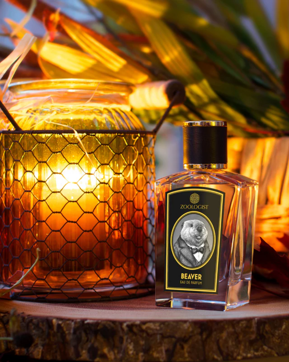 BEAVER - TROVE Malaysia