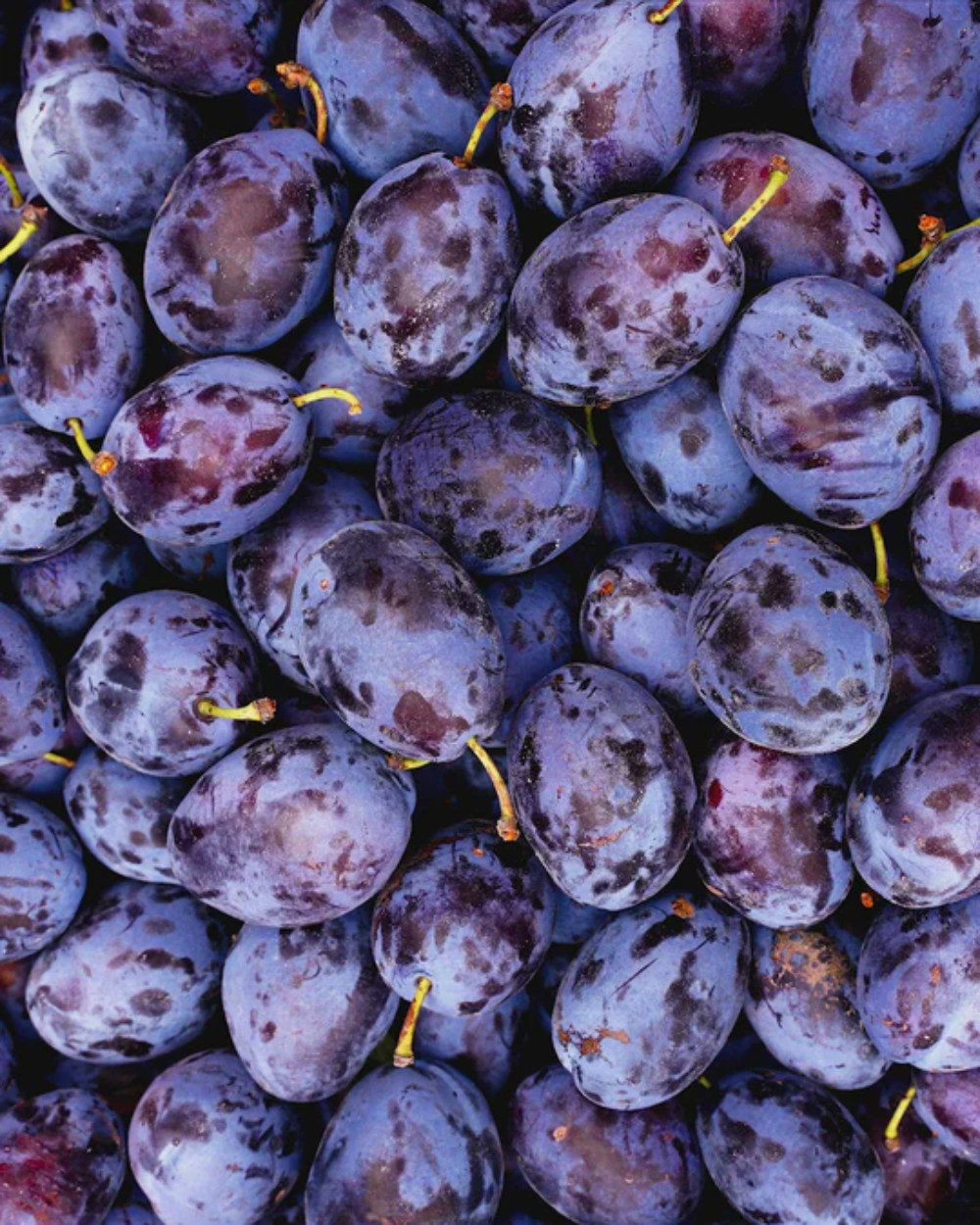 002 BARMAN - TROVE Malaysia