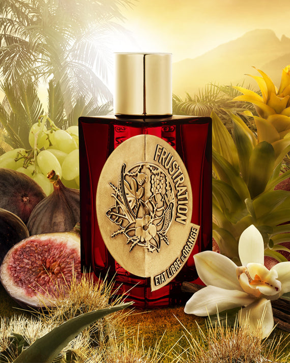 FRUSTRATION - TROVE Malaysia