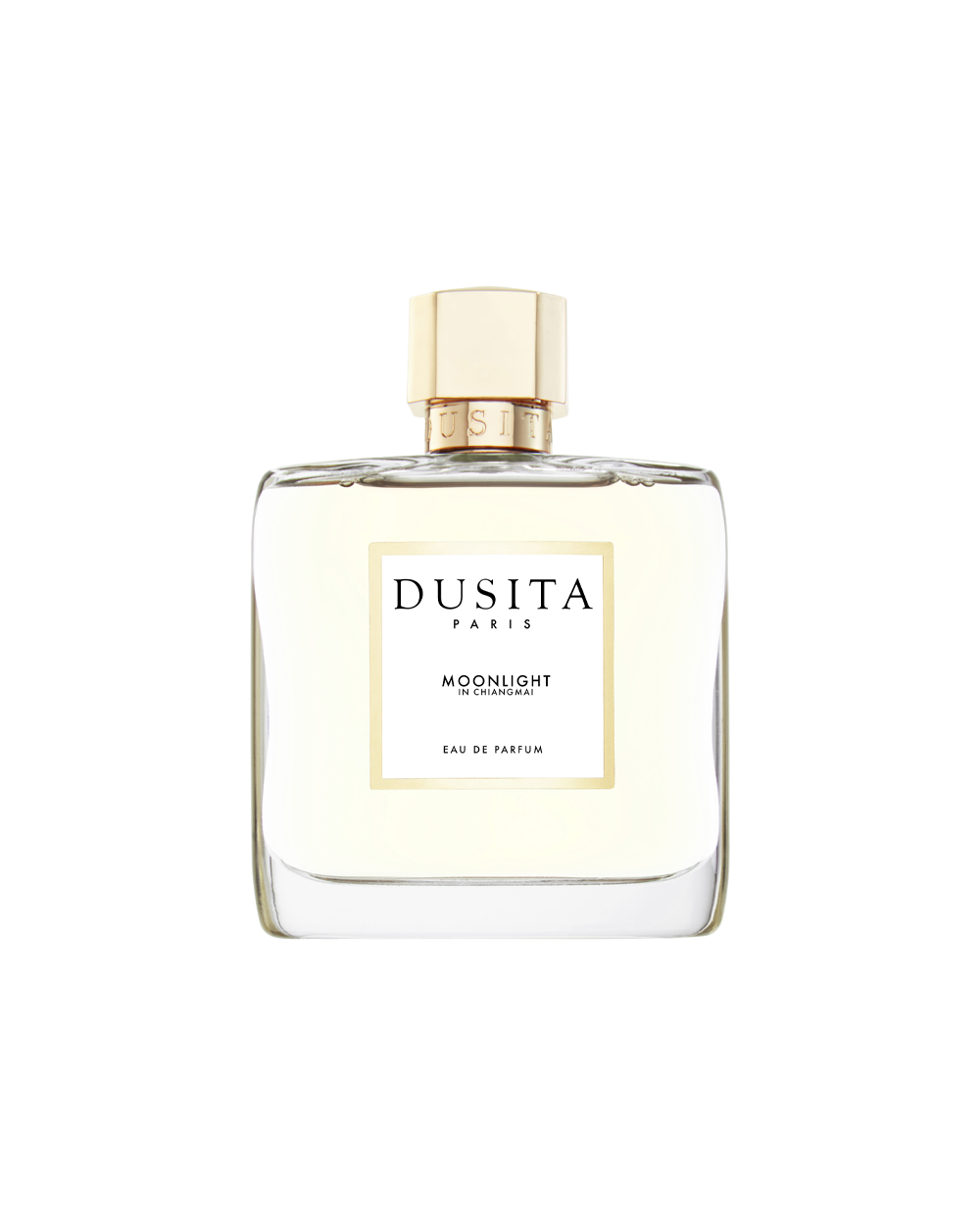 MOONLIGHT IN CHIANGMAI - TROVE Malaysia