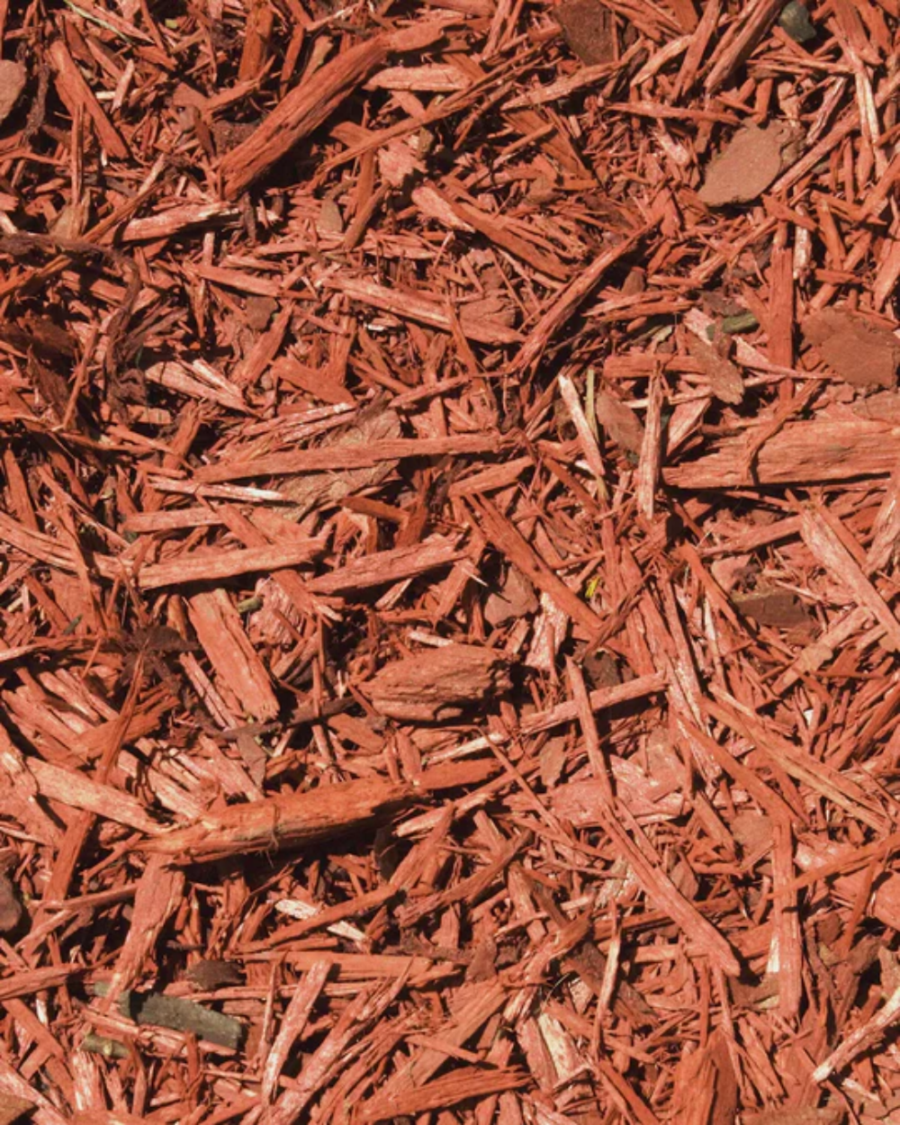 003 CARPENTER - TROVE Malaysia