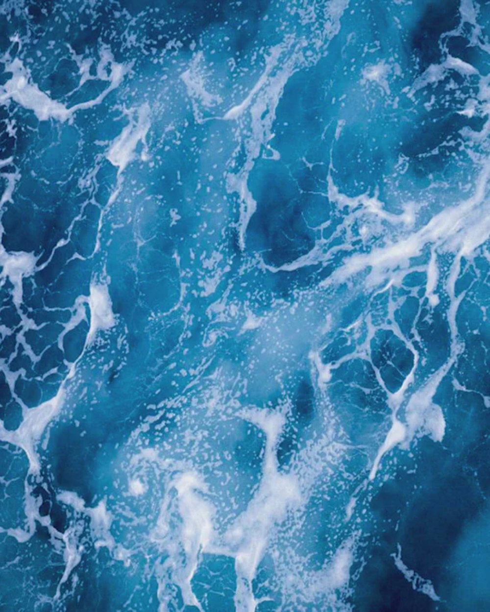 004 LIFEGUARD - TROVE Malaysia