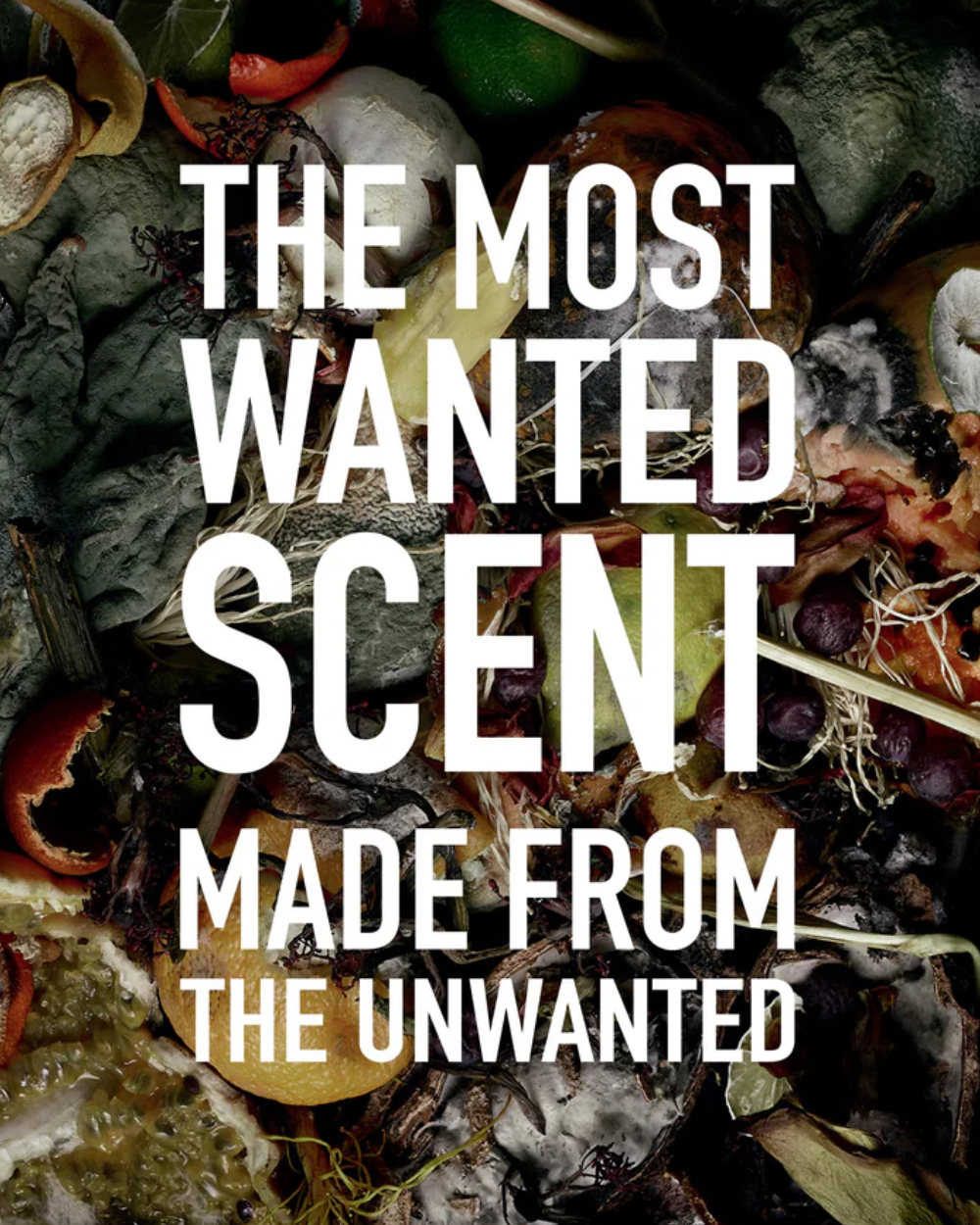 Etat Libre d'Orange I am Trash Lifestyle