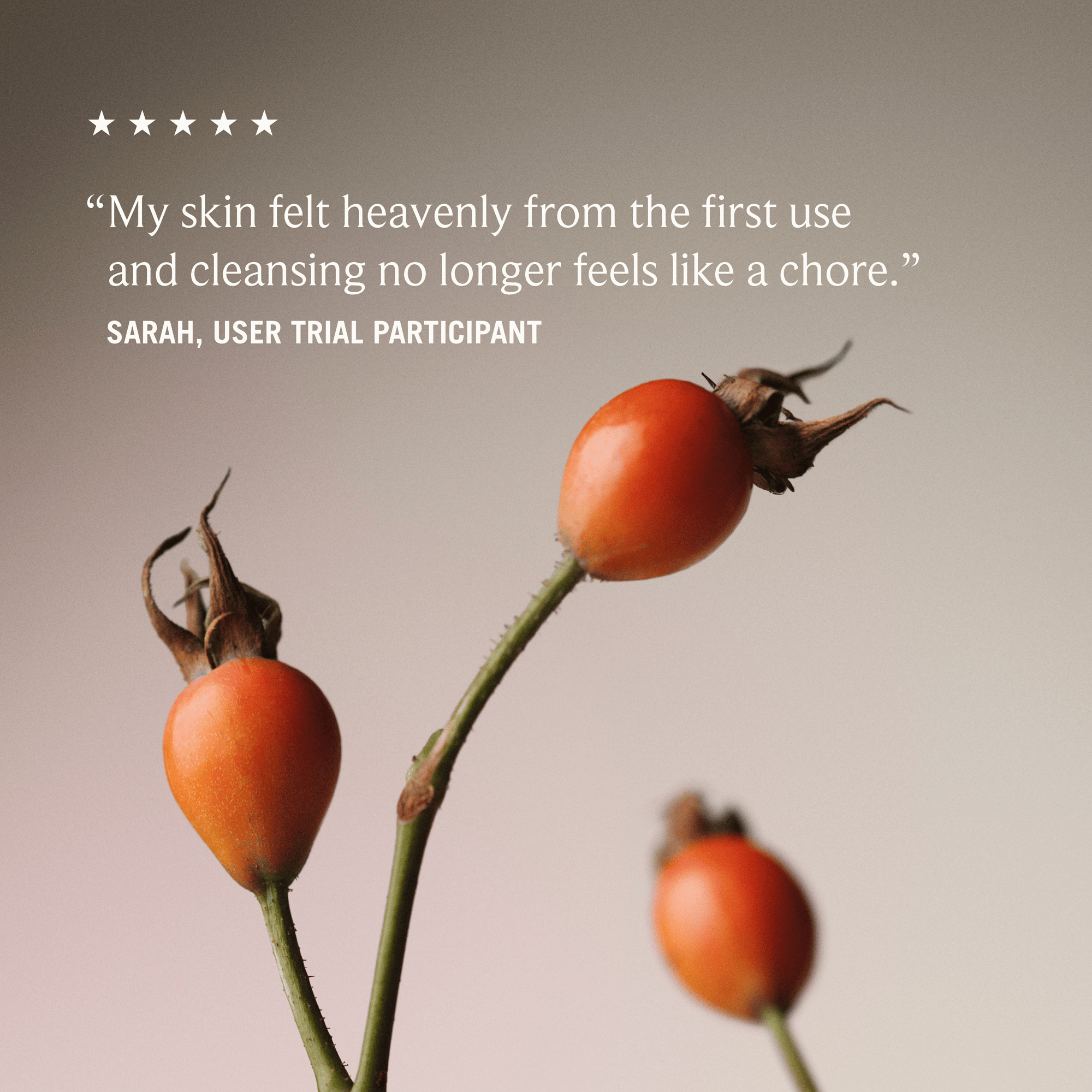 WILD ROSEHIP GLOW CLEANSING OIL