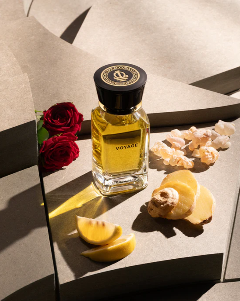 VOYAGE - TROVE Malaysia