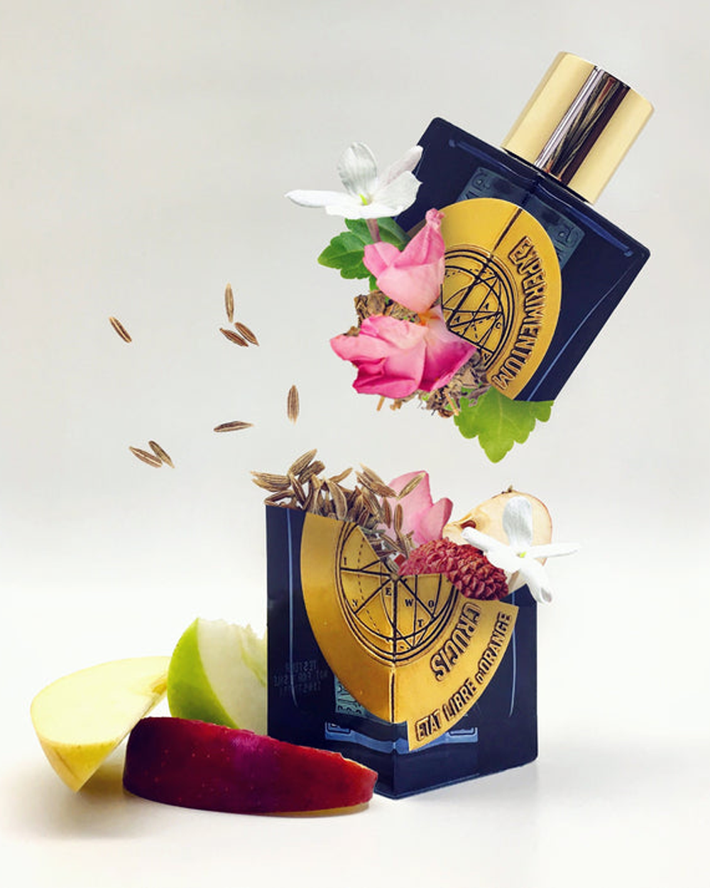 EXPERIMENTUM CRUCIS - TROVE Malaysia