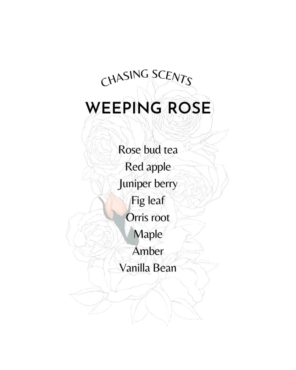 Chasing Scents Weeping Rose Notes